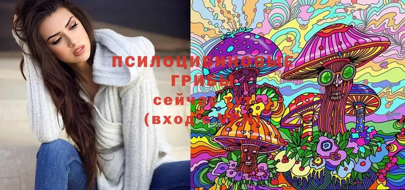 Псилоцибиновые грибы MAGIC MUSHROOMS  наркошоп  Карачаевск 