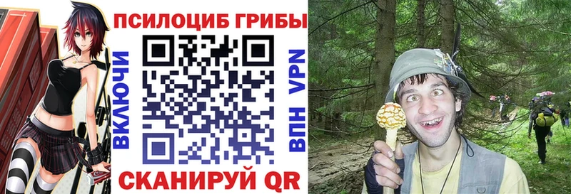 Псилоцибиновые грибы GOLDEN TEACHER  что такое   Карачаевск 