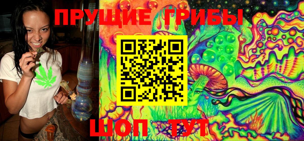 Галлюциногенные грибы GOLDEN TEACHER Карачаевск