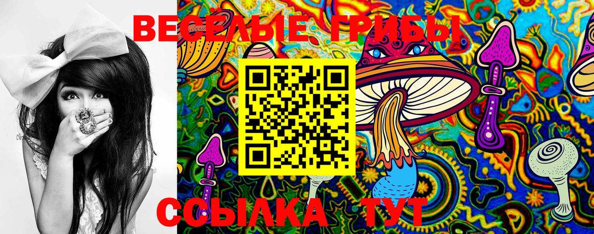 цена наркотик  Галлюциногенные грибы Magic Shrooms  Карачаевск  Вход с VPN  Галлюциногенные грибы Magic Shrooms 
